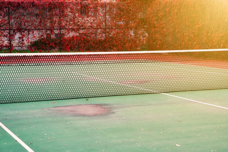 Tennis Court Repair